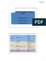 Cocos Gram Positivos Enfermagem