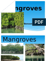 Mangroves