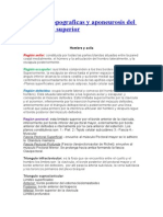 Regiones Topograficas y Aponeurosis Del Miembro Superior