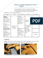 Testing Muscle Infra Epineux Et Petit Rond