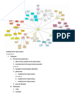 Análisis de Las Operaciones - Mapa - Mental