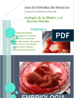 Fisiopatologia de La Madre y El Recien Nacido