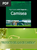 Proyecto de Gas Camisea