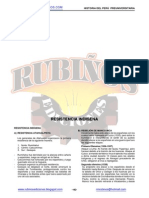 Resistencia Indigena PDF