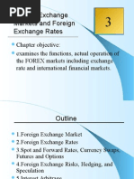 Foreign Exchange Rate Market