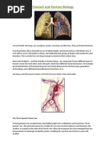 Fractals and Human Biology