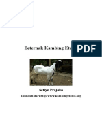 Kandang Kambing Etawa