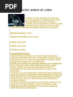 Información Sobre El Lobo