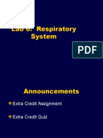 Amali Respiratori