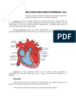 Notiuni de Anatomie Si Fiziologie A AP CV