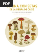 Cocina Con Setas de La Sierra de Cadiz