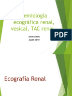 Semiologia Ecografia Renal, Vesical, Tac Renal