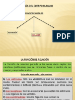 3º ESO - BIOLOGIA - Funciones Vitales