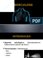 Seminario Tuberculose 