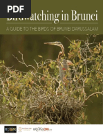 Birdwatching in Brunei