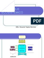 El Enfoque Ecosistémico