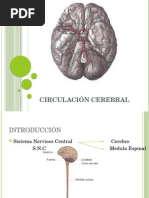 Clase 11 Circulación Cerebral