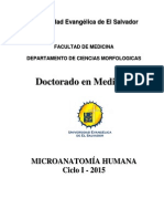 Programación Analítica de Microanatomía Humana Doctorado en Medicina Ciclo I - 2015