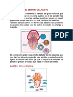 El Sentido Del Gusto y Tacto