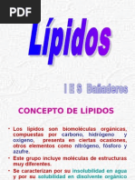 Lípidos