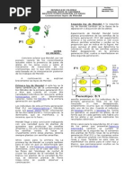 Leyes de Mendel (Resumen)