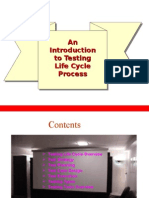 An To Testing Life Cycle Process