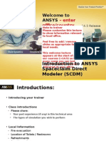 Ansys SCDM 145 L00 Local Introduction