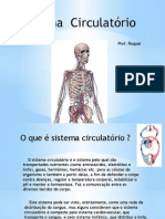 Apresentacão Sistema Circulatorio