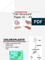 Cell Structures Lesson2