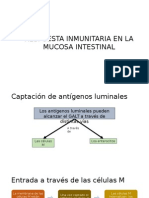 Captación de Antígenos Luminales