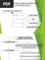 Fuentes y Principios Del Derecho Procesal Constitucional