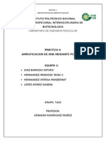 Práctica 4. Amplificación de DNA Mediante PCR RAPD