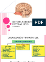 Sistema Nervioso Central