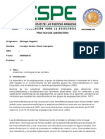 Informe de Practicas de Laboratorio