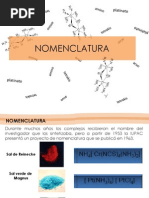 NOMENCLATURA