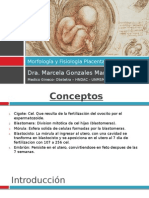 Morfologia y Fisiologia Placentaria - Clase