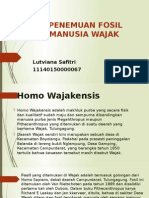 Sejarah Fosil Homo Wajakensis