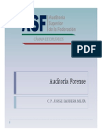 Auditoria Forense México