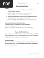 DNA Gel Electrophoresis