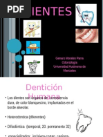 DIENTES - Odonto. 2ppt