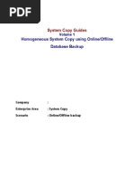 SAP System PDF