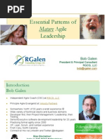 Mature Agile Leadership Essential Patterns v7 Half Day Workshop