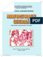 Morfopatologia Zota Vataman 2010 