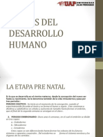 Etapas Del Desarrollo Humano