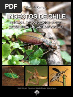 Insectos de Chile