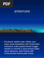 Antiamuba