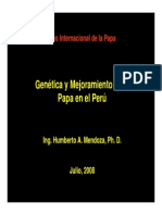 Mejoramiento de Papa