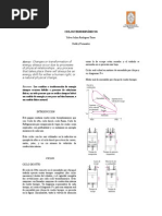 Ciclos Termodinamicos