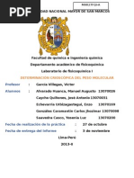 Labo 6 - Determinacion Crioscópica Del Peso Molecular