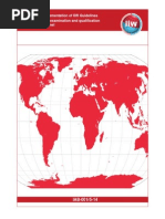 IAB 001 Rev5 14 Rules Implementation IIW Guidelines NO TRACK CHANGES PDF